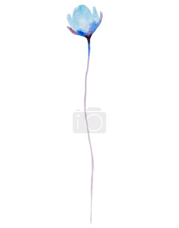 Foto de Acuarela flores de color azul claro ilustración aislada. Jardín Elemento floral para papelería de boda de verano y otoño y tarjetas de felicitación - Imagen libre de derechos