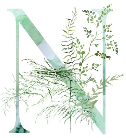 Green letter N with Watercolor fragile stems and tiny leaves, asparagus, ferns, and grasses, whimsical tender isolated illustration. Elegant Alphabet element for ethereal romantic wedding stationery