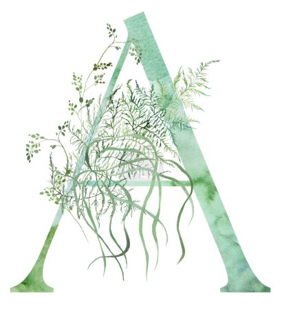 Green letter A with Watercolor fragile stems and tiny leaves, asparagus, ferns, and grasses, whimsical tender isolated illustration. Elegant Alphabet element for ethereal romantic wedding stationery