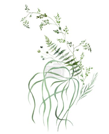 Téléchargez les photos : Bouquet composé de tiges fragiles aquarelle et de minuscules feuilles, d'asperges, de fougères et d'herbes, illustration fantaisiste et tendre isolée. Arrangement pour Ethereal romantique papeterie de mariage d'été - en image libre de droit