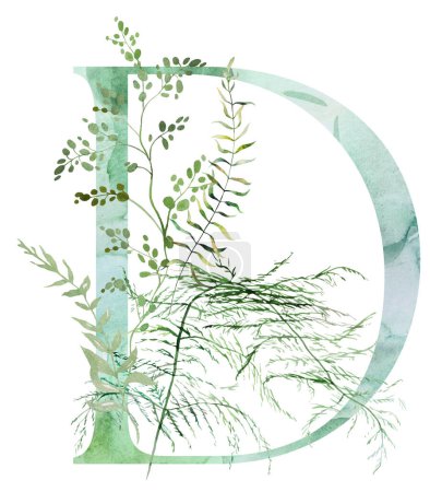Green letter D with Watercolor fragile stems and tiny leaves, asparagus, ferns, and grasses, whimsical tender isolated illustration. Elegant Alphabet element for ethereal romantic wedding stationery