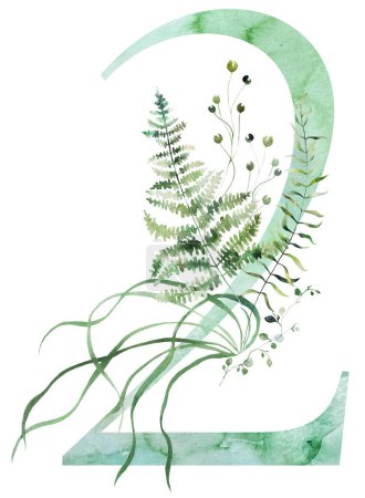 Grüne Nummer 2 mit zerbrechlichen Aquarellstielen und winzigen Blättern, Spargel, Farnen und Gräsern, skurrile, zart isolierte Illustration. Elegantes Element für ätherische romantische Hochzeitspapeterie