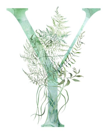 Green letter Y with Watercolor fragile stems and tiny leaves, asparagus, ferns, and grasses, whimsical tender isolated illustration. Elegant Alphabet element for ethereal romantic wedding stationery