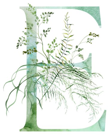 Green letter E with Watercolor fragile stems and tiny leaves, asparagus, ferns, and grasses, whimsical tender isolated illustration. Elegant Alphabet element for ethereal romantic wedding stationery