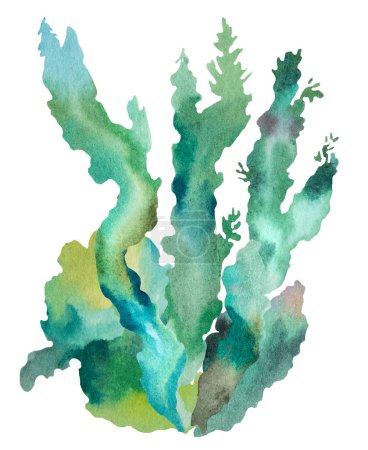 Téléchargez les photos : Algues Aquarelle Verte élément isolé. Délicat et éthéré, sous-marin Illustration pour cartes de vœux, papeterie de mariage de plage d'été et image de marque enchantée - en image libre de droit