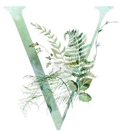 Lettre verte V avec des tiges fragiles aquarelle et des feuilles minuscules, asperges, fougères et herbes, illustration isolée tendre fantaisiste. Elégant élément Alphabet pour la papeterie de mariage romantique éthéré