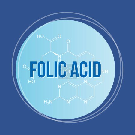 Illustration for Folic acid, vitamin b9, round icon with formula, blue background, vector medical illustration - Royalty Free Image