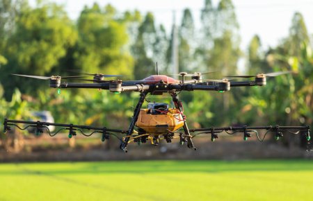 Téléchargez les photos : Grand drone agricole survolant la rizière pour pulvériser des produits chimiques ou des engrais. Technologie pour l'agriculture concept - en image libre de droit