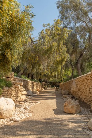 Foto de Árboles del Parque Nacional y paisaje en la tumba de Paula y Ben Gurion en el Kibbutz Sde Boker en el desierto del Negev en el sur de Israel - Imagen libre de derechos