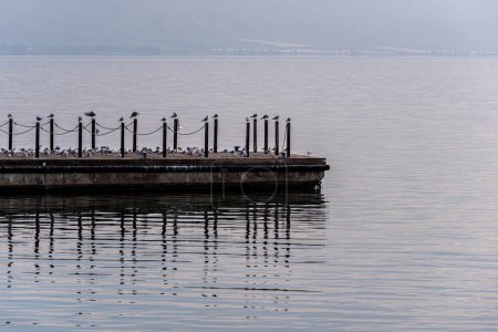 Foto de Muelle en el Mar de Galilea con gaviotas marinas en el Parque Nacional de Cafarnaúm en el Mar de Galilea en Israel. - Imagen libre de derechos