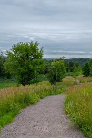 Téléchargez les photos : Sentier de randonnée dans le parc national de Maplewood en été près de Pelican Rapids, Minnesota. - en image libre de droit