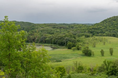Téléchargez les photos : Vue des prairies et des arbres dans le parc d'État de Maplewood en été près de Pelican Rapids, Minnesota. - en image libre de droit