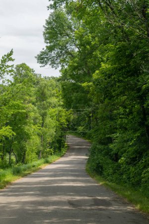 Téléchargez les photos : Route panoramique à travers le parc d'État de Maplewood en été près de Pelican Rapids, Minnesota. - en image libre de droit