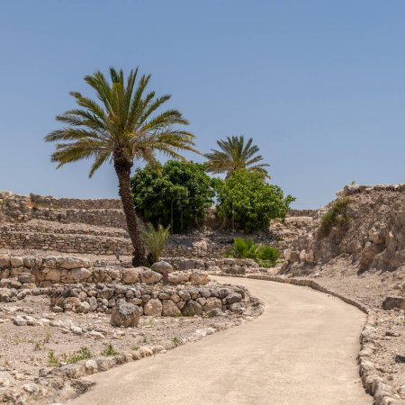 Téléchargez les photos : Passerelle avec palmiers à Tel Megiddo en Israël au printemps. - en image libre de droit