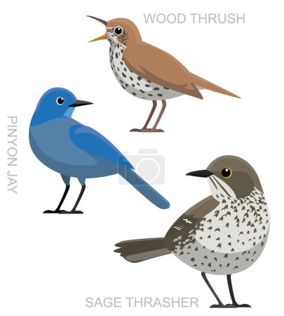 Illustration for Cute Bird Sage Thrasher Pinyon Jay Wood Thrush Set Cartoon Vector - Royalty Free Image