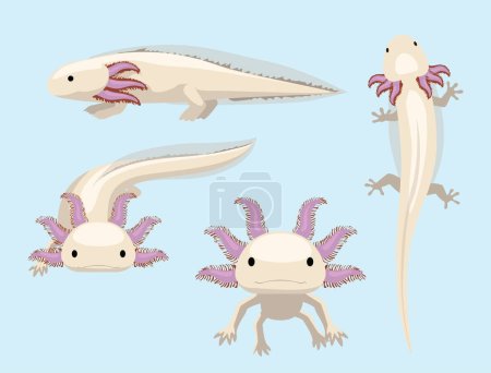 Animal Poses Salamander Axolotl Cartoon Character Vector