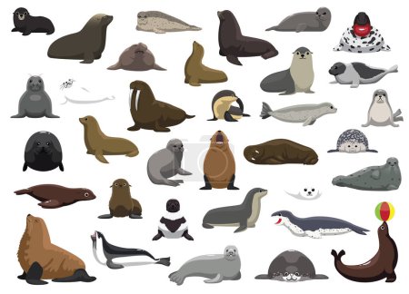 Téléchargez les illustrations : Animal Seal Sea Lion Walrus Characters Cartoon Vector - en licence libre de droit