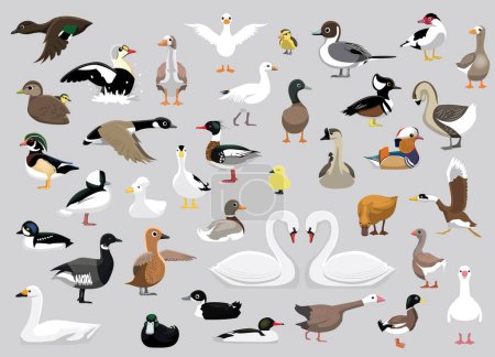 Ilustración de Animal Duck Swan Goose Characters Cartoon Vector - Imagen libre de derechos