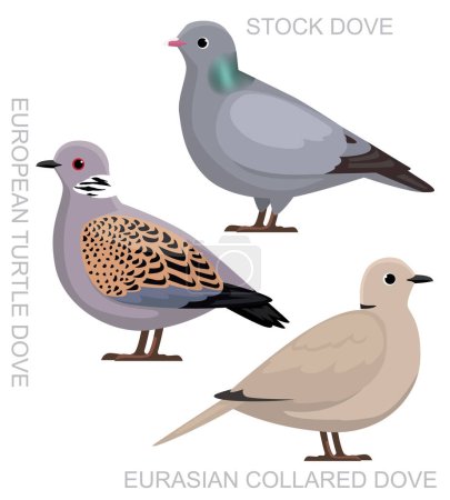 Ilustración de Lindo pájaro eurasiático collar paloma conjunto dibujos animados vector - Imagen libre de derechos