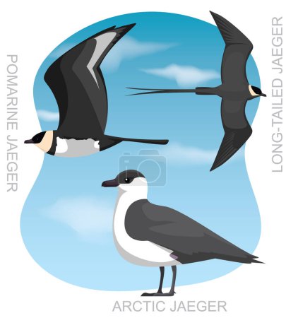 Ilustración de Lindo pájaro Skua Jaeger conjunto de dibujos animados Vector - Imagen libre de derechos