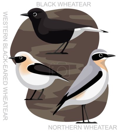 Ilustración de Lindo pájaro Wheatear Set Vector de dibujos animados - Imagen libre de derechos