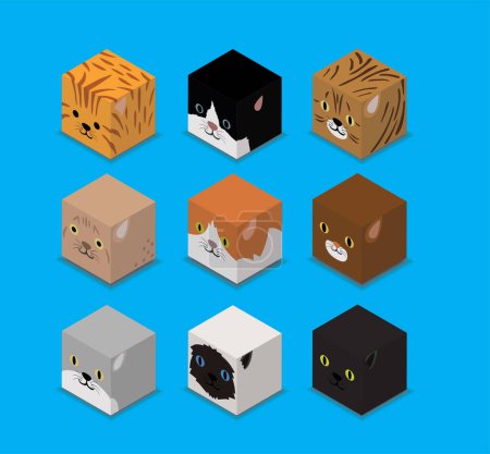 Illustration for Dice Box 3D Character Pet Cats Animal Set Cartoon Vector - Royalty Free Image