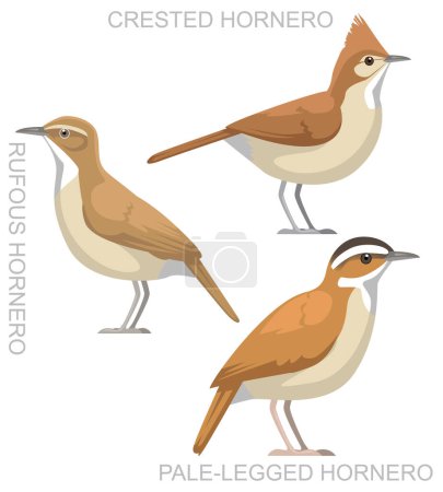 Ilustración de Lindo pájaro Hornero Set Vector de dibujos animados - Imagen libre de derechos