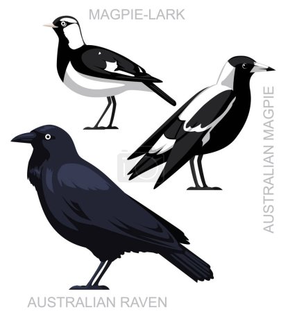 Illustration for Cute Bird Australian Magpie Raven Lark Set Cartoon Vector - Royalty Free Image