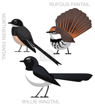 Lindo pájaro australiano Fantail Wagtail Set Vector de dibujos animados