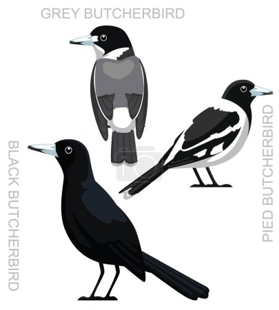 Ilustración de Lindo pájaro australiano negro carnicero conjunto de dibujos animados Vector - Imagen libre de derechos