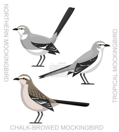 Illustration for Cute Bird Mockingbird Set Cartoon Vector - Royalty Free Image