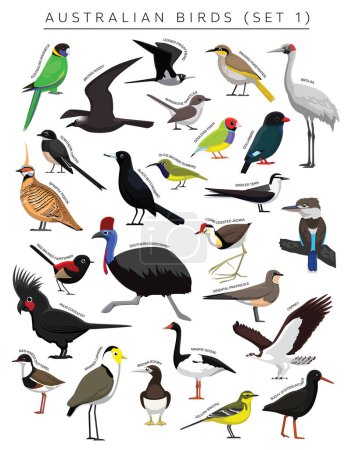 Ilustración de Australiano aves conjunto dibujos animados vector carácter 1 - Imagen libre de derechos