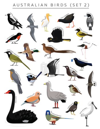 Ilustración de Australiano aves conjunto dibujos animados vector carácter 2 - Imagen libre de derechos