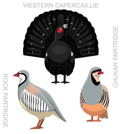 Ilustración de Lindo pájaro perdiz Capercaillie gallina conjunto de dibujos animados Vector - Imagen libre de derechos