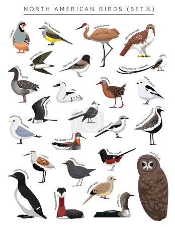 Téléchargez les illustrations : Ensemble d'oiseaux nord-américains personnage vectoriel de bande dessinée 8 - en licence libre de droit