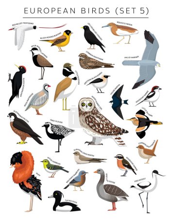 Ilustración de Juego de Aves Europeas Carácter Vector de Dibujos Animados 5 - Imagen libre de derechos