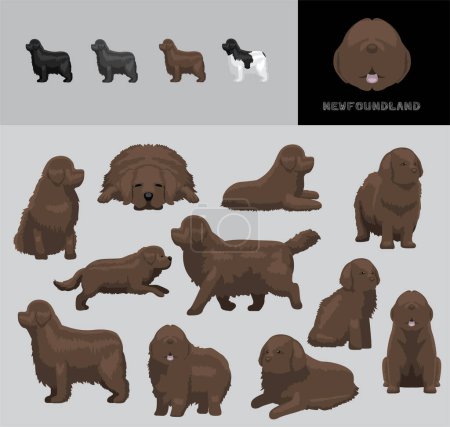 Illustration for Dog Newfoundland Cartoon Vector Illustration Color Variation Set Brown Coat - Royalty Free Image