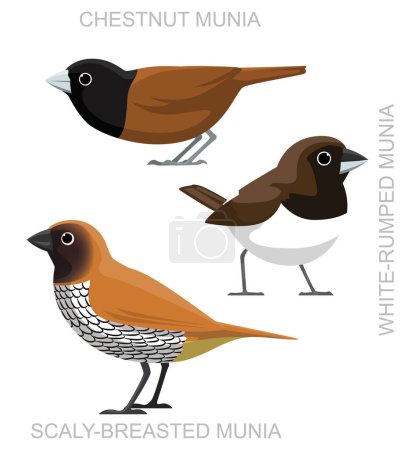 Illustration for Cute Bird Chestnut Munia Set Cartoon Vector - Royalty Free Image