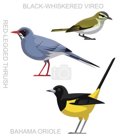 Téléchargez les illustrations : Oiseau mignon Bahama Oriole Vireo Thrush Set Cartoon Vector - en licence libre de droit