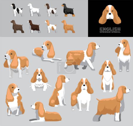 Illustration for Dog English Springer Spaniel Cartoon Vector Illustration Color Variation Set Blonde Coat - Royalty Free Image