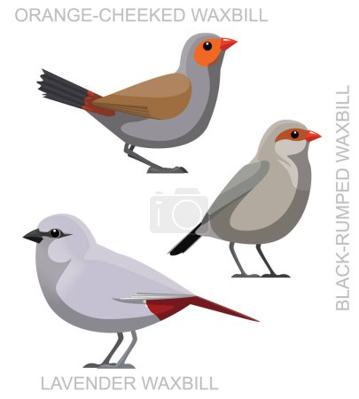 Illustration for Cute Bird Waxbill Set Cartoon Vector - Royalty Free Image