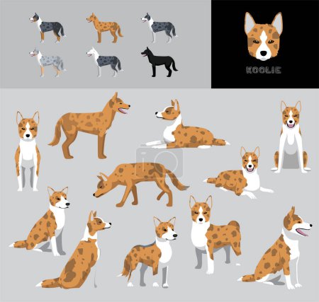 Illustration for Dog Koolie Cartoon Vector Illustration Color Variation Set Red Coat - Royalty Free Image