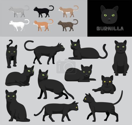 Ilustración de Gato Burmilla Escudo negro Dibujos animados Vector Ilustración Color Variación Set - Imagen libre de derechos