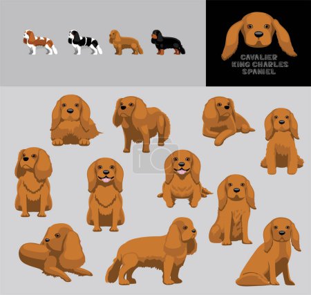 Téléchargez les illustrations : Ensemble de variation de couleur pour chien Cavalier King Charles Spaniel Blond Manteau Dessin animé vectoriel - en licence libre de droit