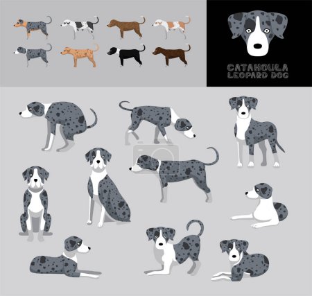 Ilustración de Perro Catahoula Leopardo Perro Dibujos Animados Vector Ilustración Color Variación Set - Imagen libre de derechos
