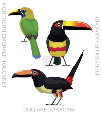 Illustration for Cute Bird Toucanet Aracari Set Cartoon Vector - Royalty Free Image