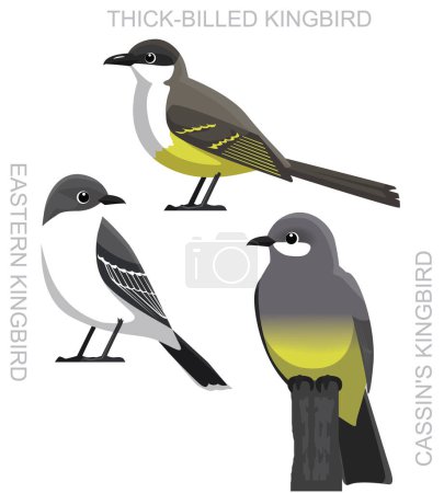 Illustration for Cute Bird Eastern Kingbird Set Cartoon Vector - Royalty Free Image
