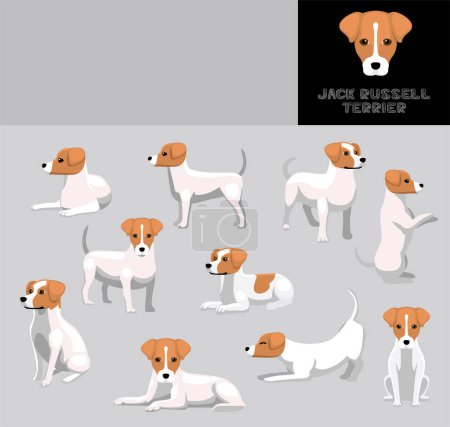 Illustration for Dog Jack Russell Terrier Various Poses Cartoon Vector Illustration Color Variation Set - Royalty Free Image