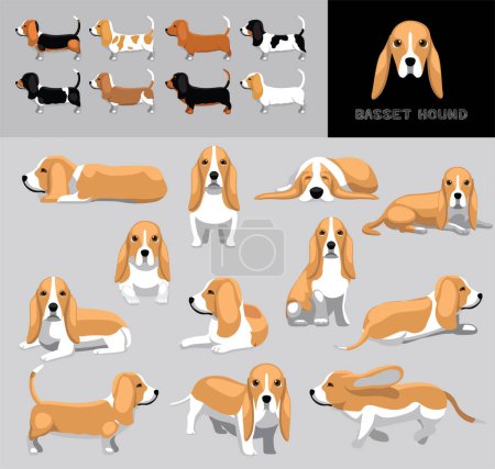 Illustration for Dog Basset Hound Lemon Coat Cartoon Vector Illustration Color Variation Set - Royalty Free Image