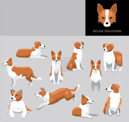 Ilustración de Perro Galés Oveja Dibujos Animados Vector Ilustración Color Variación Set - Imagen libre de derechos